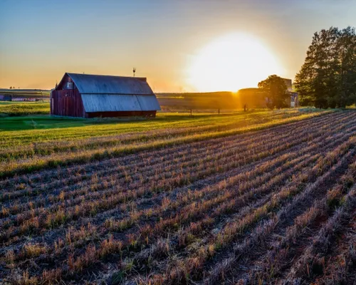 Free Sunset Over Fields stock image to download Sunset Over Fields FREE Stock Photo, sunset, barn, landscape picture